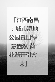 江西南昌：城市湿地公园夏日绿意盎然 荷花渐开引客来