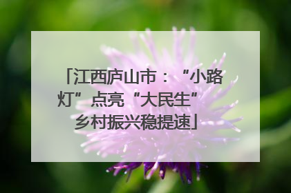 江西庐山市：“小路灯”点亮“大民生” 乡村振兴稳提速