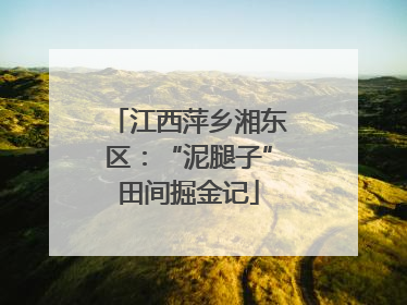 江西萍乡湘东区：“泥腿子”田间掘金记