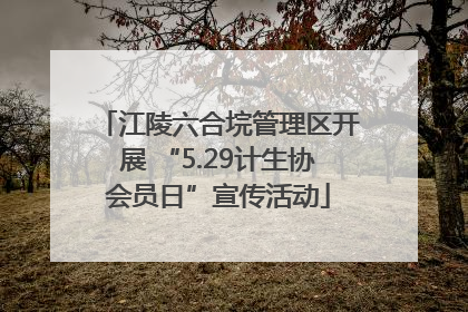 江陵六合垸管理区开展 “5.29计生协会员日”宣传活动