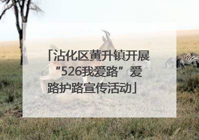 沾化区黄升镇开展“526我爱路”爱路护路宣传活动