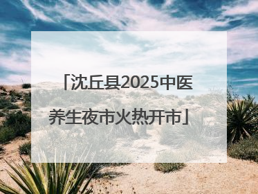 沈丘县2025中医养生夜市火热开市