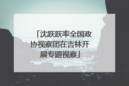 沈跃跃率全国政协视察团在吉林开展专题视察
