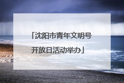 沈阳市青年文明号开放日活动举办
