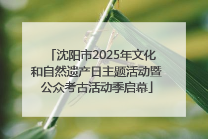沈阳市2025年文化和自然遗产日主题活动暨公众考古活动季启幕