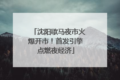 沈阳歇马夜市火爆开市！首发引擎点燃夜经济