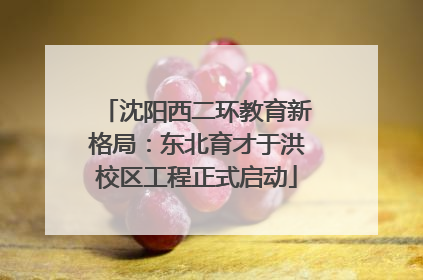 沈阳西二环教育新格局：东北育才于洪校区工程正式启动
