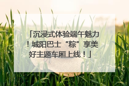 沉浸式体验端午魅力！城阳巴士“粽”享美好主题车厢上线！