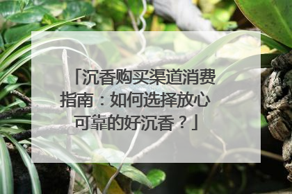 沉香购买渠道消费指南：如何选择放心可靠的好沉香？