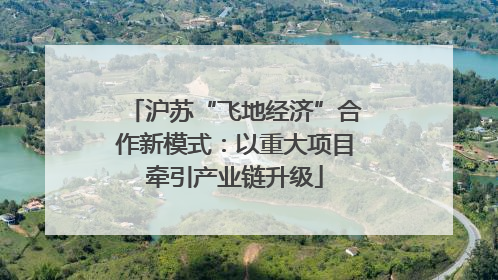 沪苏“飞地经济”合作新模式：以重大项目牵引产业链升级