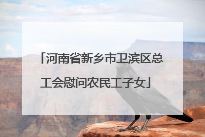 河南省新乡市卫滨区总工会慰问农民工子女