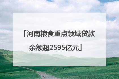 河南粮食重点领域贷款余额超2595亿元