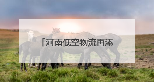 河南低空物流再添“新航线”！郑州航空港启动无人机物流常态化试飞