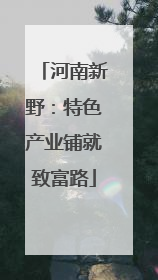 河南新野：特色产业铺就致富路