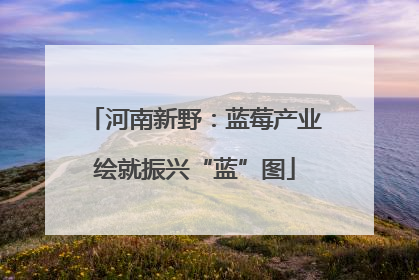 河南新野：蓝莓产业绘就振兴“蓝”图