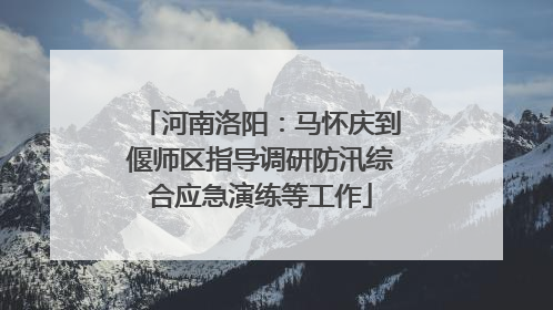 河南洛阳：马怀庆到偃师区指导调研防汛综合应急演练等工作