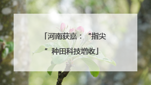 河南获嘉：“指尖”种田科技增收