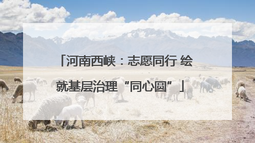 河南西峡：志愿同行 绘就基层治理“同心圆”
