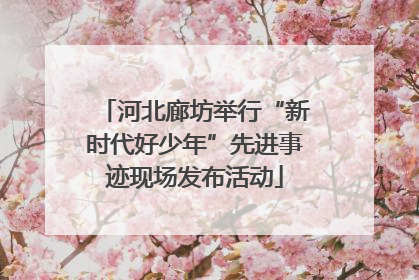 河北廊坊举行“新时代好少年”先进事迹现场发布活动