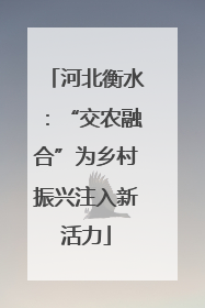 河北衡水：“交农融合”为乡村振兴注入新活力