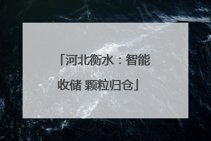 河北衡水：智能收储 颗粒归仓