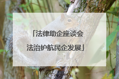 法律助企座谈会 法治护航民企发展
