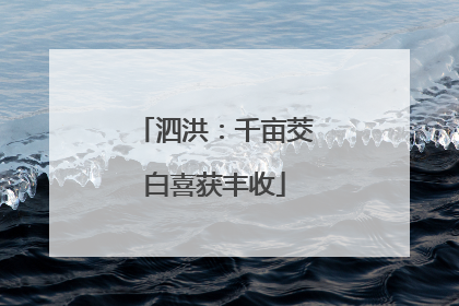 泗洪：千亩茭白喜获丰收