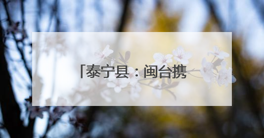 泰宁县：闽台携手赋能，绘就乡建乡创新图景
