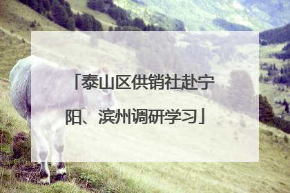 泰山区供销社赴宁阳、滨州调研学习