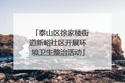 泰山区徐家楼街道新峪社区开展环境卫生整治活动