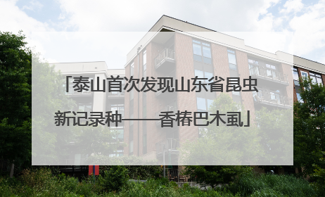 泰山首次发现山东省昆虫新记录种——香椿巴木虱