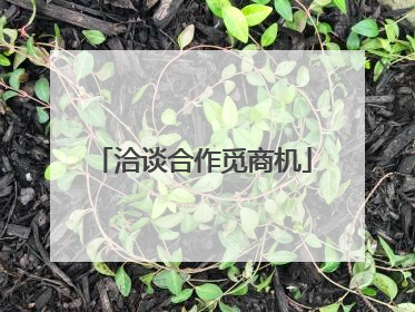 洽谈合作觅商机