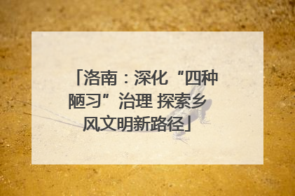 洛南：深化“四种陋习”治理 探索乡风文明新路径