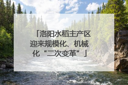 洛阳水稻主产区迎来规模化、机械化“二次变革”