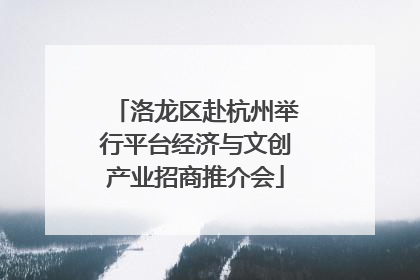 洛龙区赴杭州举行平台经济与文创产业招商推介会