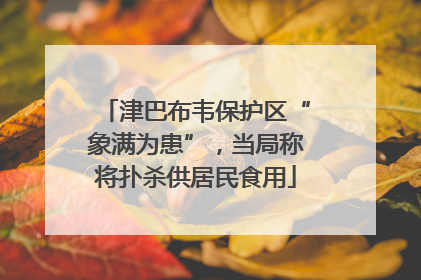 津巴布韦保护区“象满为患”，当局称将扑杀供居民食用