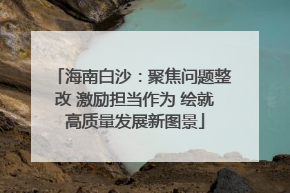 海南白沙：聚焦问题整改 激励担当作为 绘就高质量发展新图景