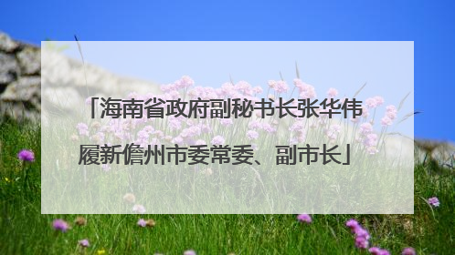 海南省政府副秘书长张华伟履新儋州市委常委、副市长