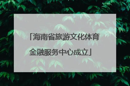 海南省旅游文化体育金融服务中心成立