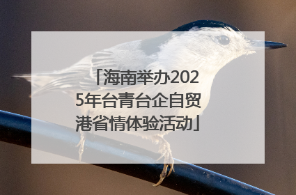 海南举办2025年台青台企自贸港省情体验活动