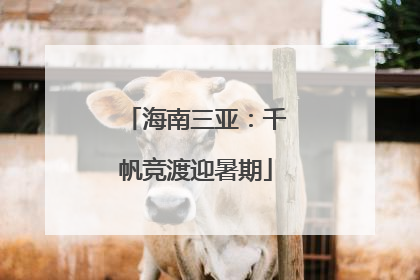 海南三亚：千帆竞渡迎暑期