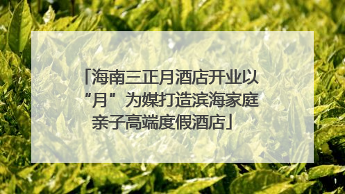 海南三正月酒店开业以“月”为媒打造滨海家庭亲子高端度假酒店