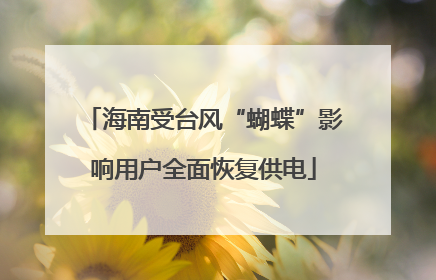 海南受台风“蝴蝶”影响用户全面恢复供电