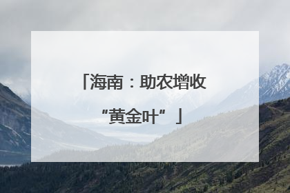 海南：助农增收 “黄金叶”