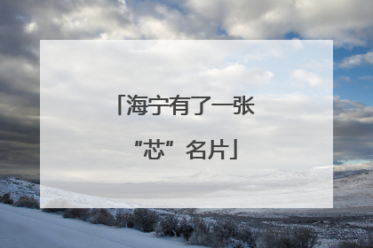 海宁有了一张“芯”名片