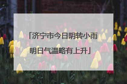 济宁市今日阴转小雨 明日气温略有上升