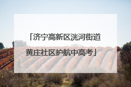 济宁高新区洸河街道黄庄社区护航中高考