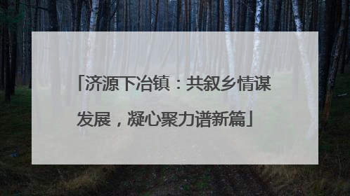 济源下冶镇：共叙乡情谋发展，凝心聚力谱新篇