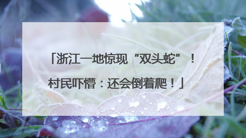 浙江一地惊现“双头蛇”！村民吓懵：还会倒着爬！