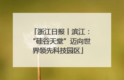 浙江日报丨滨江：“硅谷天堂”迈向世界领先科技园区